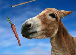 Donkey-and-carrot.jpg