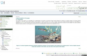 Example of OpenLearn OER