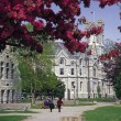 Queen's University Queen's University
