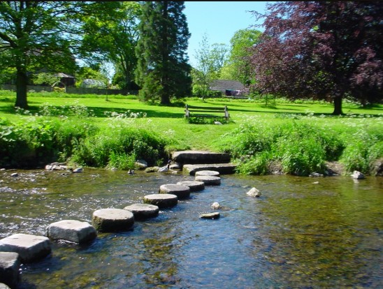 Stepping stones to garden