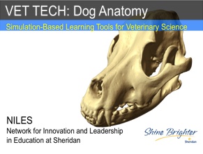 Vet Tech Dog Anatomy