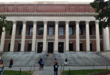 That was the year 2024, that was