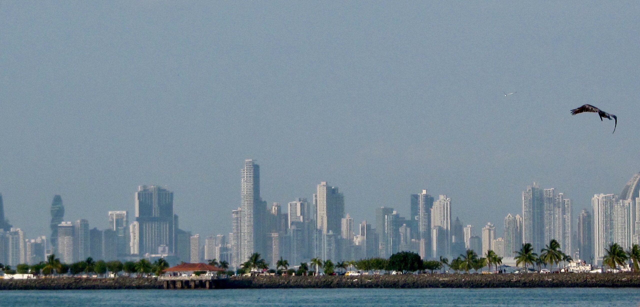 Panama City vista from the sea